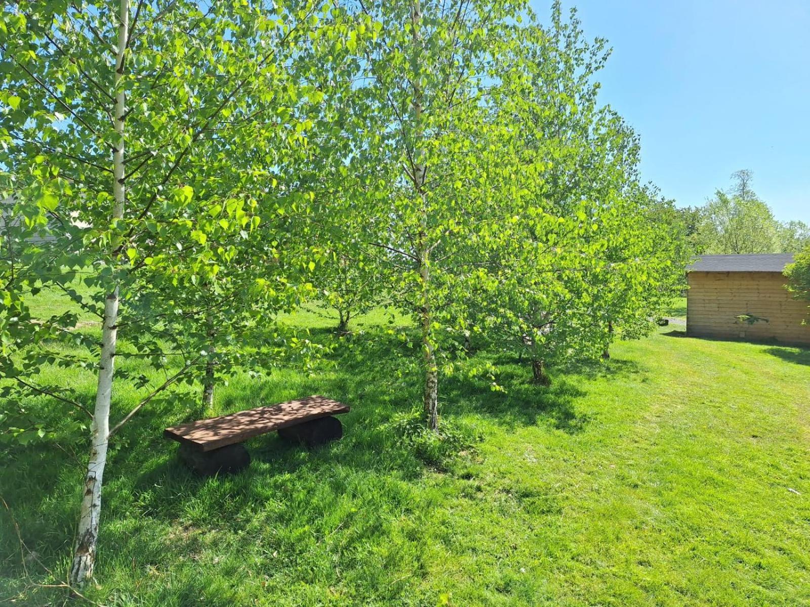 Camping, Zabierz Wlasny Namiot Kameralne Pole Namiotowe Z Basenem Kinem Plenerowym Miejscem Na Ognisko I Placem Zabaw Zywe Zwierzeta Agroturystyka Giebultow  Dış mekan fotoğraf